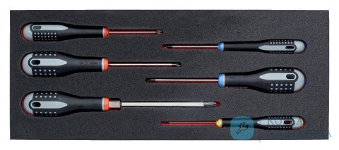 Wkład narzędziowy wkrętaki SL + PH + PZ - 6 elementów BAHCO Wkład narzędziowy wkrętaki SL + PH + PZ - 6 elementów BAHCO