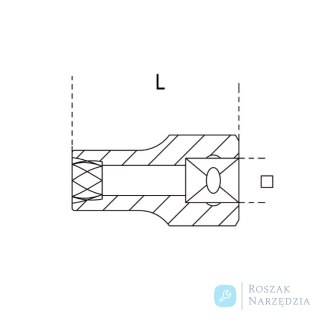 Nasadka specjalna do odkręcania uszkodzonych nakrętek 1/2" 24 mm, 1428 Beta