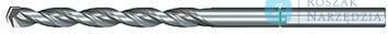 Wiertło do betonu ProXtreme, 6x175/110mm heller