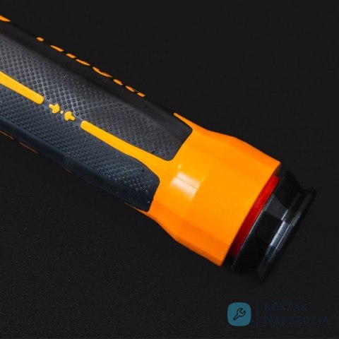 Klucz dynamometryczny 40-200 Nm, ze stałą grzechotką 1/2", 666/20 Beta