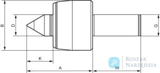 Kieł centrujący obrotowy, K102HZA, chwyt cylindryczny 20mm RÖHM
