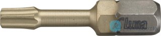 Groty Torsion 29 mm typu TX Prime Luna TX40