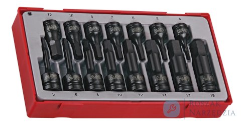 15-elementowy zestaw nasadek maszynowych trzpieniowych sześciokątnych Teng Tools TT9015HX