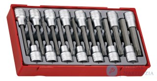 15-elementowy zestaw nasadek trzpieniowych typu Tx i 6-kątnych z chwytem kwadratowym 1/2", Teng Tools TTTxH15