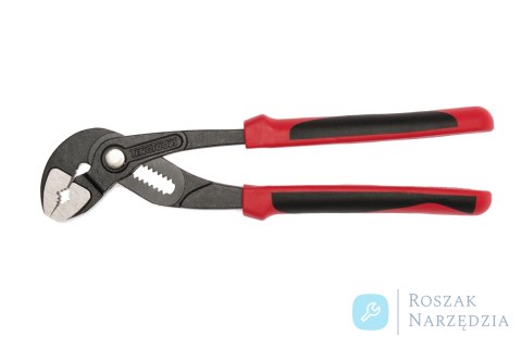 Szczypce nastawne 10 MB481-10T Teng Tools