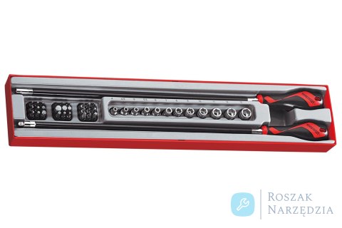 41-elementowy zestaw rękojeści wkrętakowych, Teng Tools TEX6308